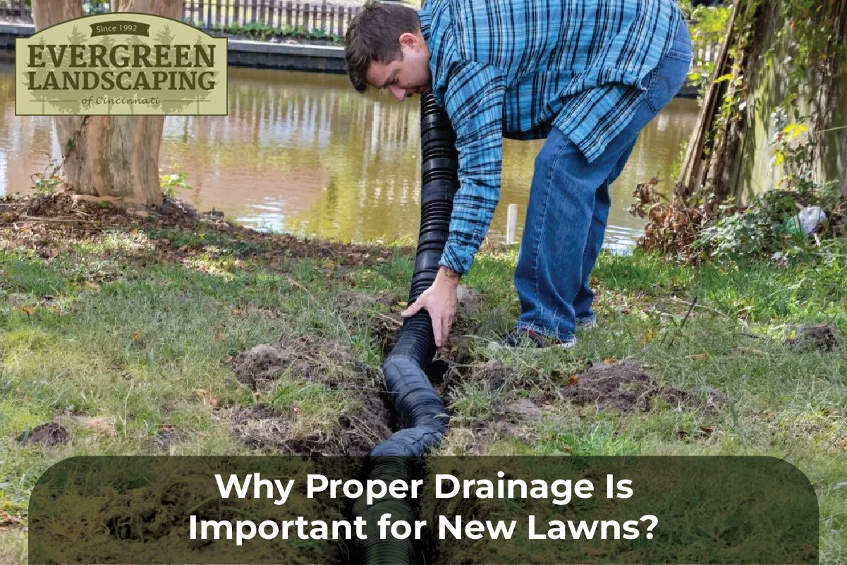drainage